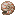 Nautilus Shells (8×)